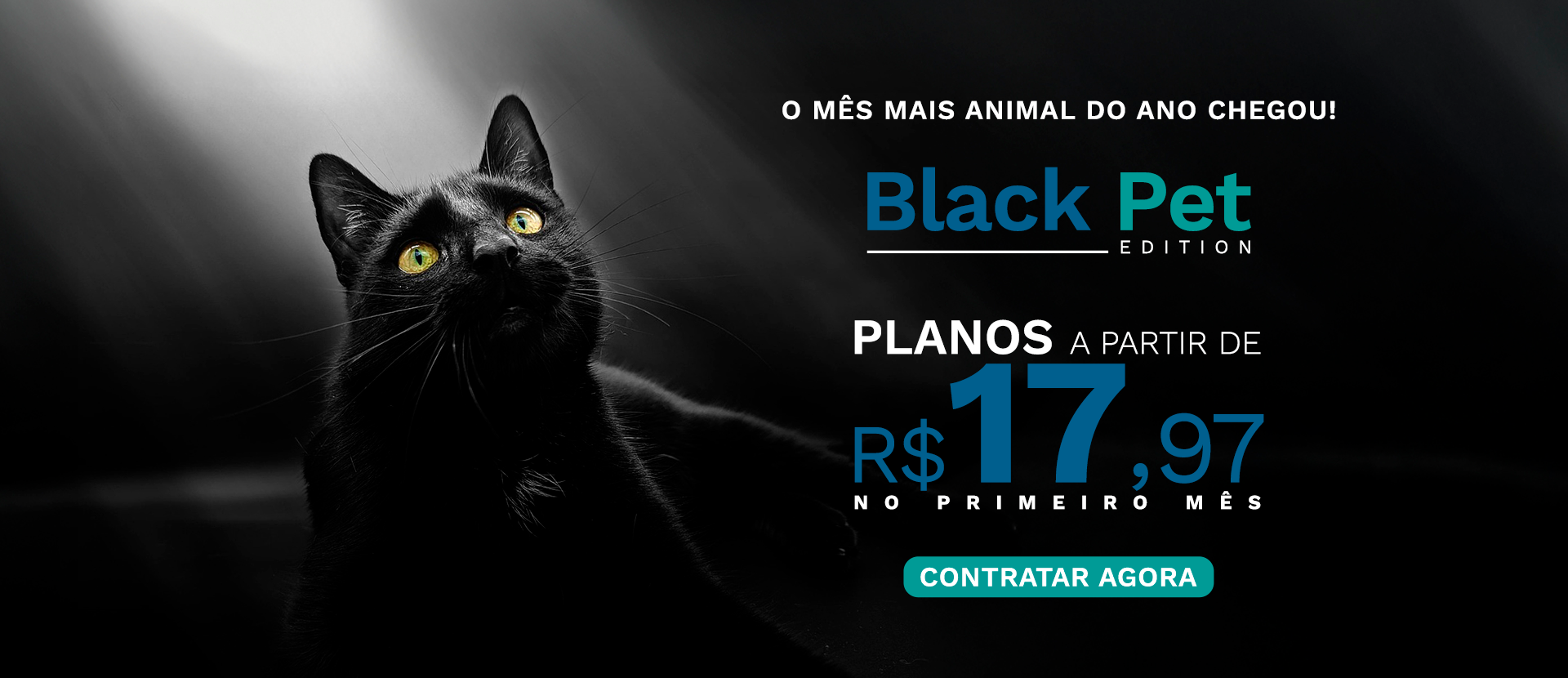 BANNER BLACK PET 2