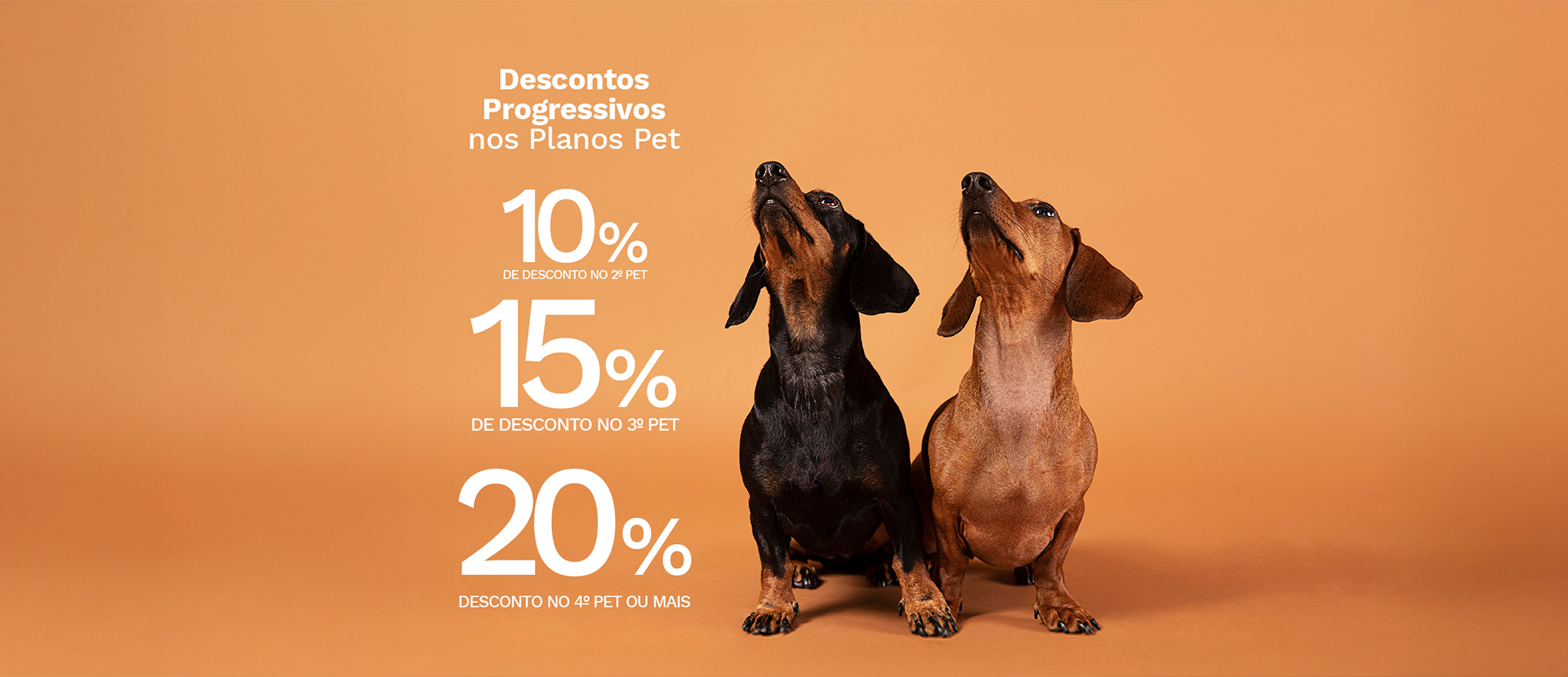 BANNER PROGRESSIVO DESKTOP